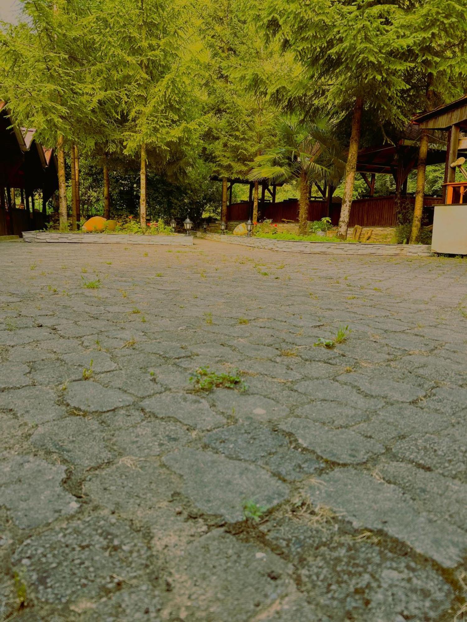 Isikli Kale Hotel Caykara Ngoại thất bức ảnh