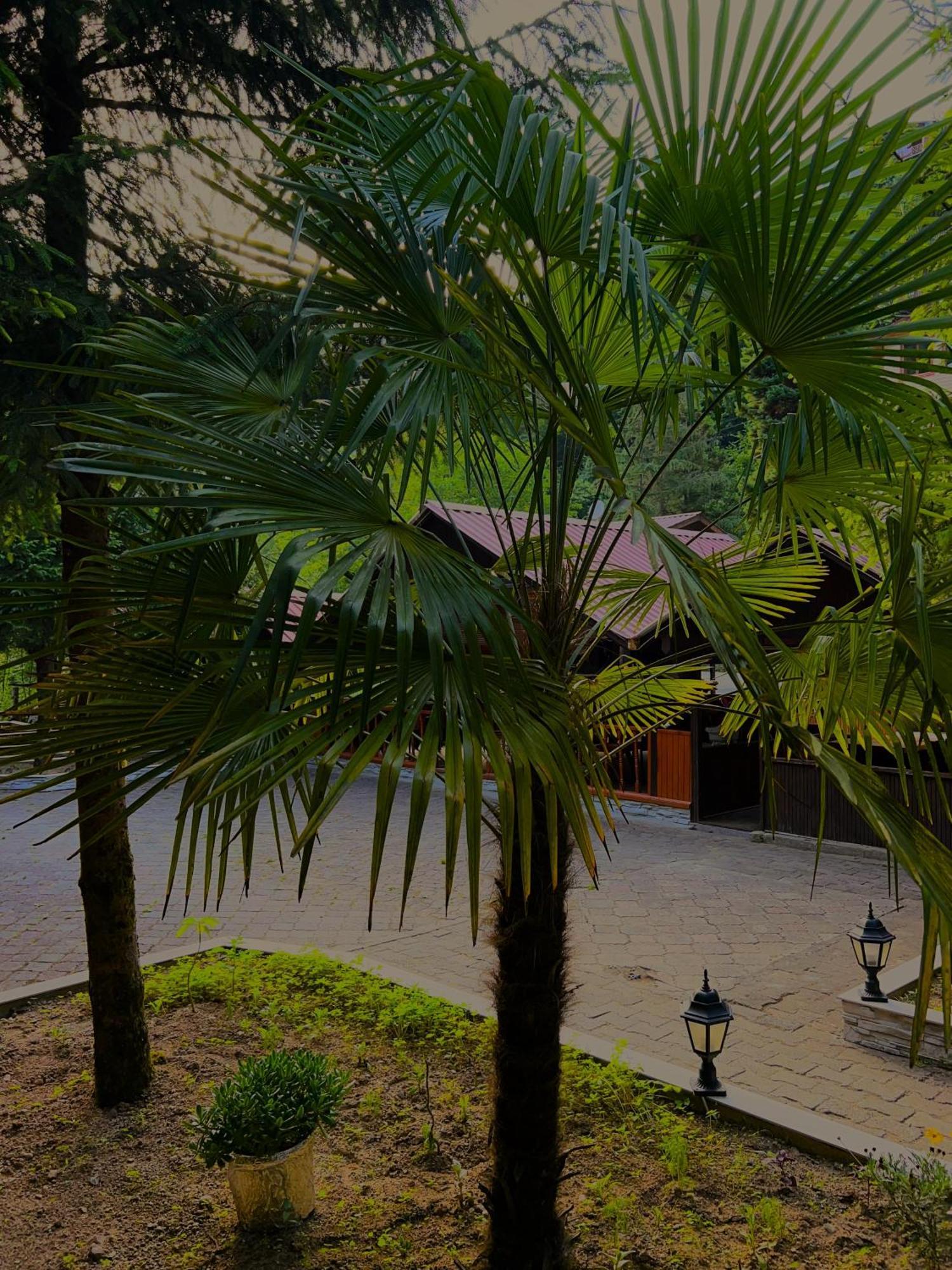 Isikli Kale Hotel Caykara Ngoại thất bức ảnh